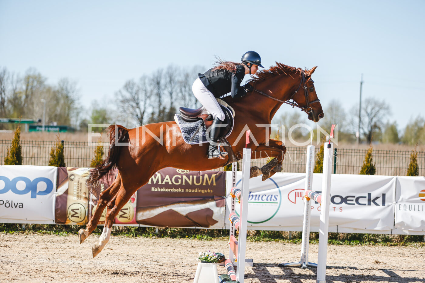 Gramina_Volber_2026_110_0284