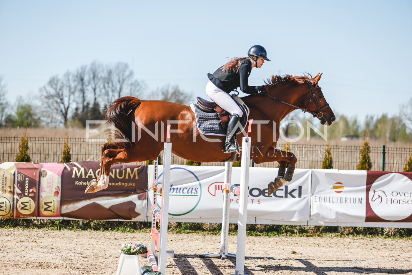 Gramina_Volber_2026_110_0287