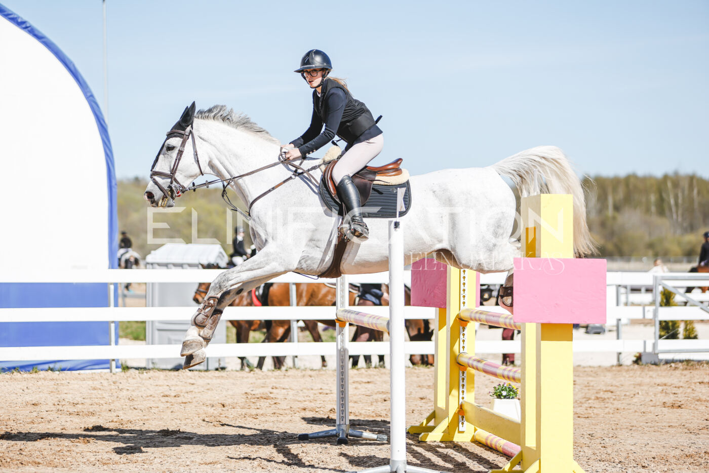 Gramina_Volber_2026_110_0319