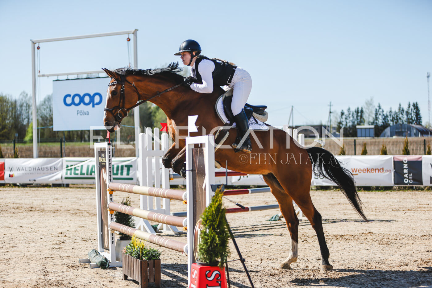 Gramina_Volber_2026_110_0367