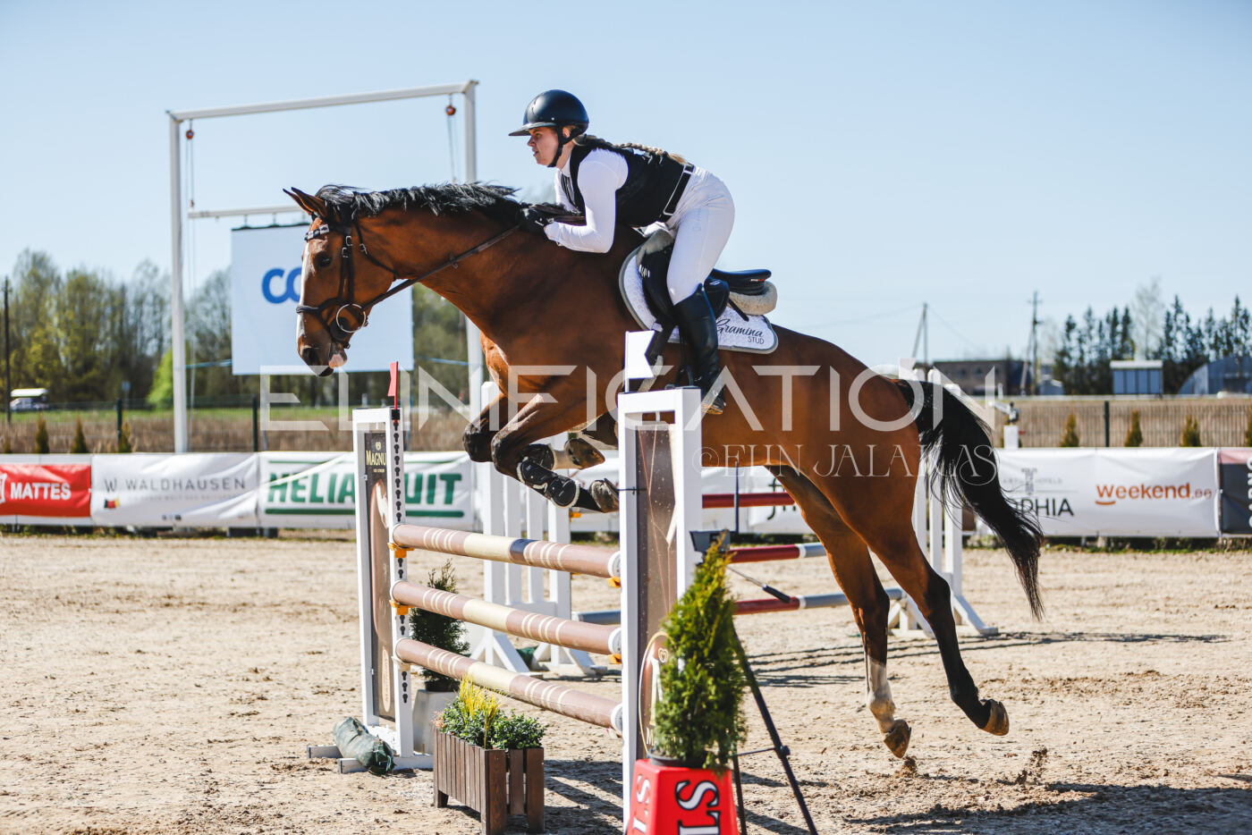 Gramina_Volber_2026_110_0368
