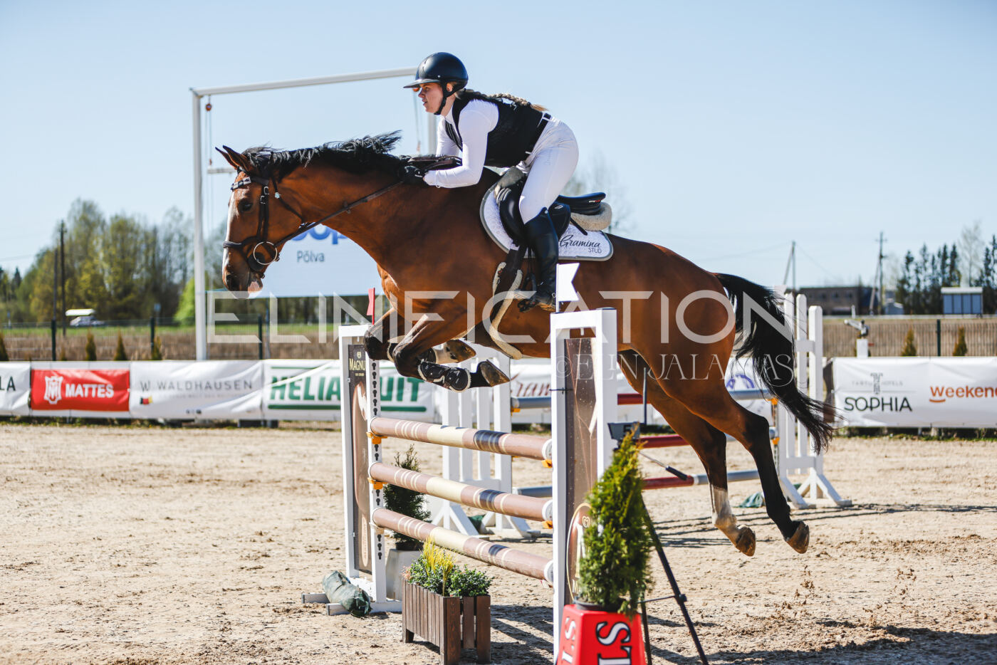 Gramina_Volber_2026_110_0369