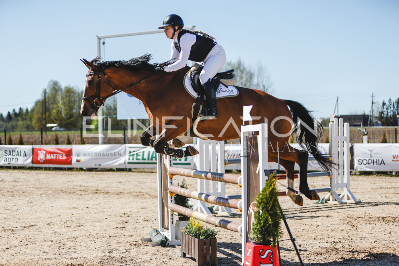 Gramina_Volber_2026_110_0370