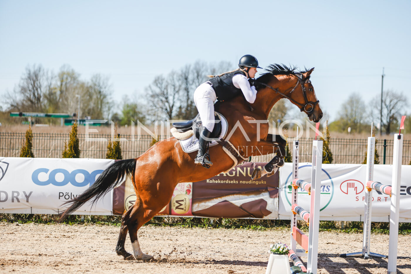 Gramina_Volber_2026_110_0398