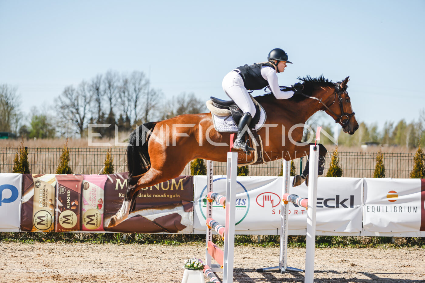 Gramina_Volber_2026_110_0402