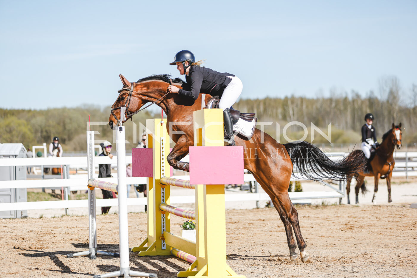 Gramina_Volber_2026_110_0448