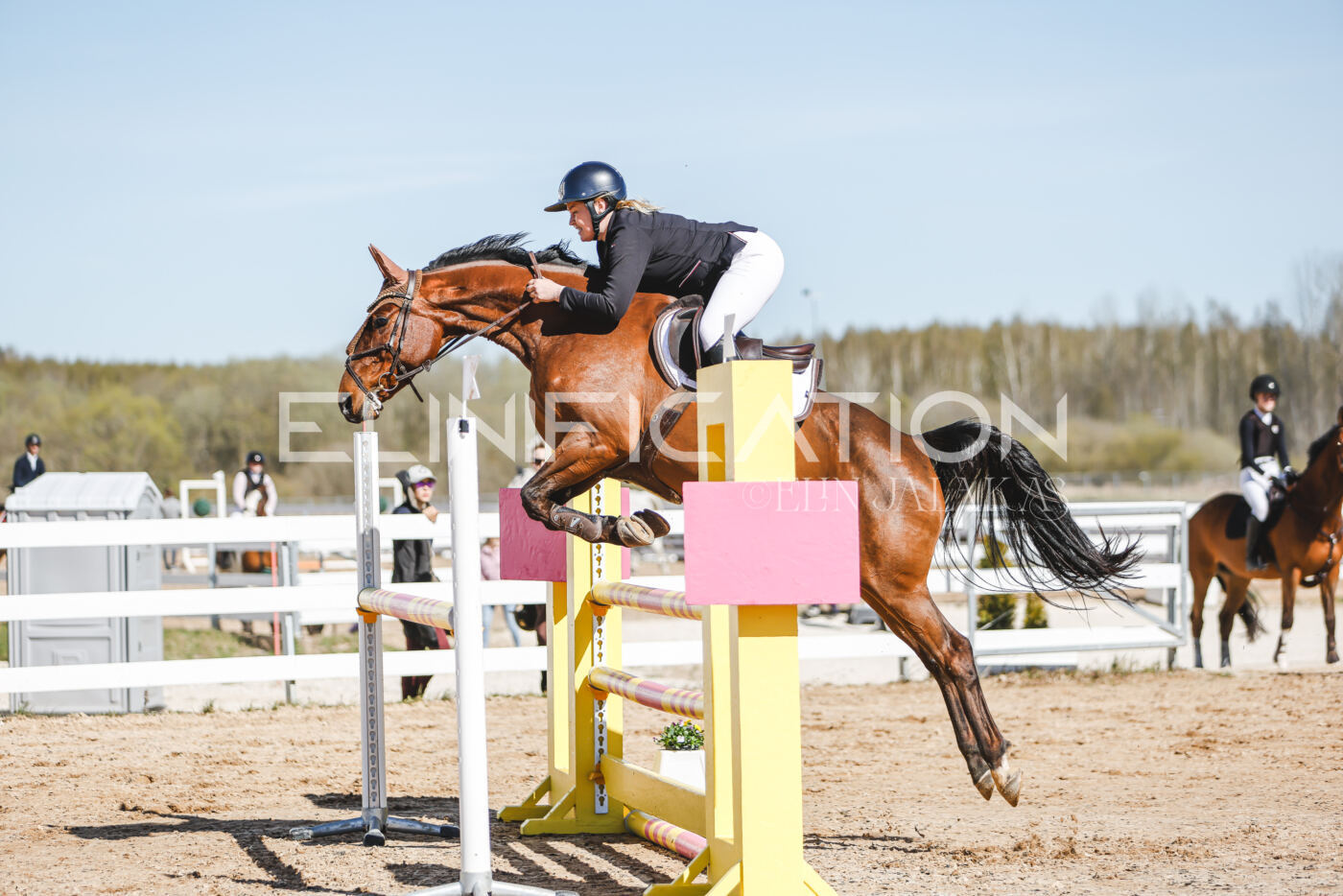 Gramina_Volber_2026_110_0449