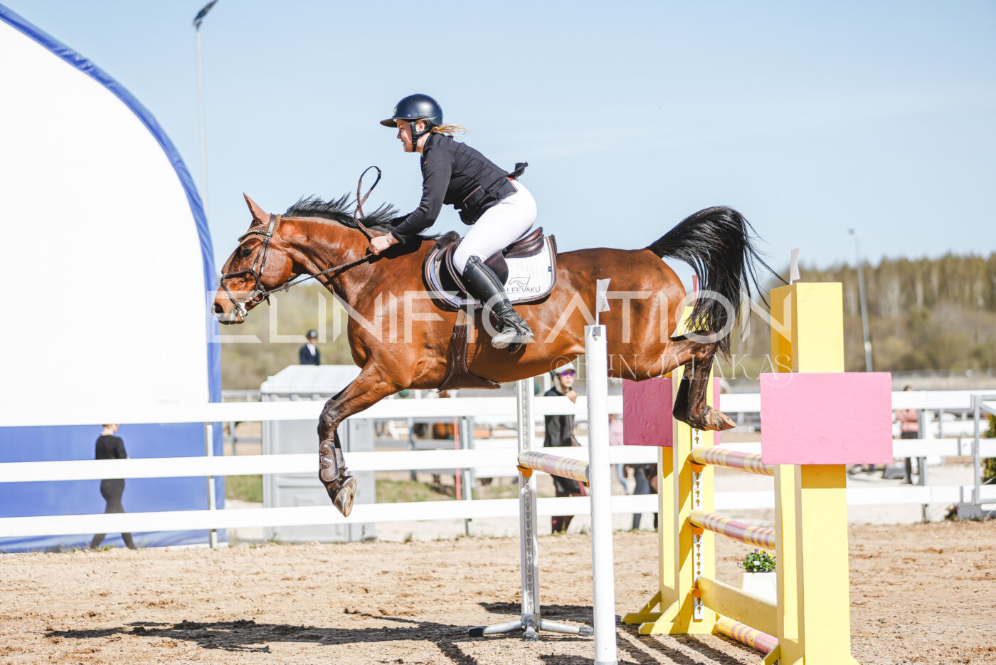 Gramina_Volber_2026_110_0454