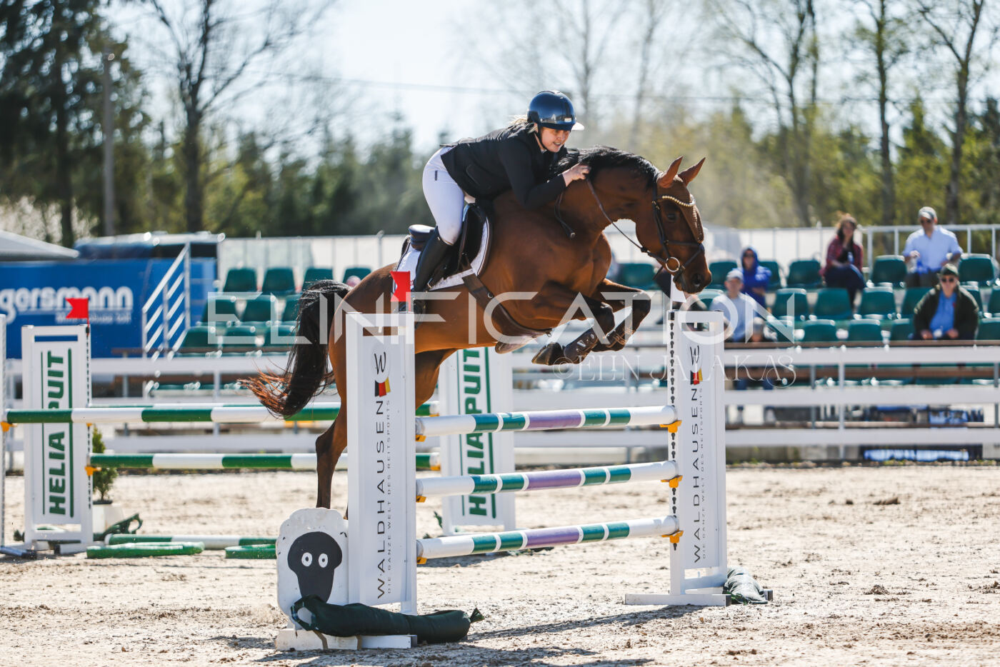 Gramina_Volber_2026_110_0483