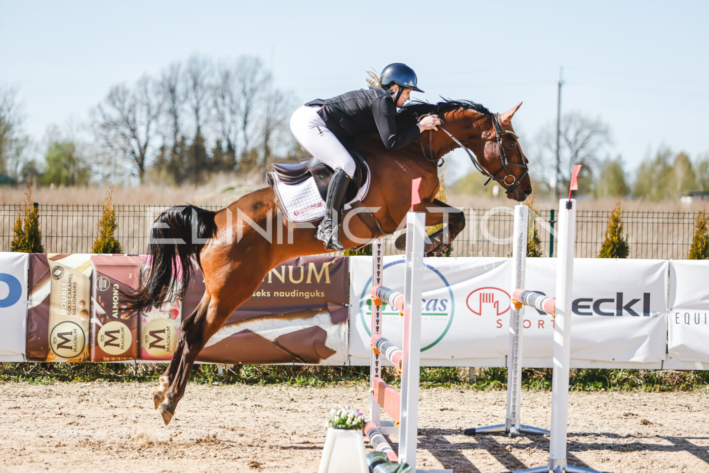 Gramina_Volber_2026_110_0487