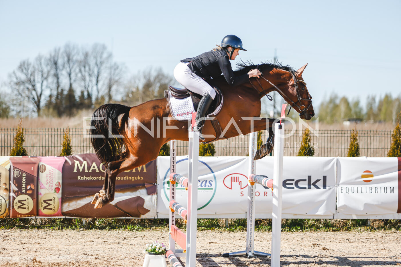 Gramina_Volber_2026_110_0489