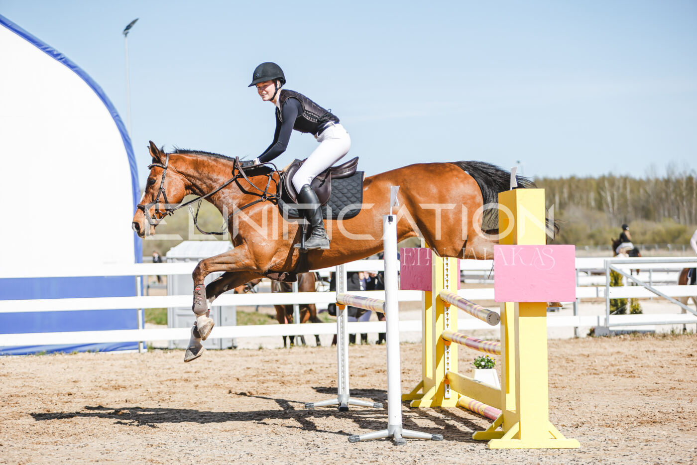 Gramina_Volber_2026_110_0524