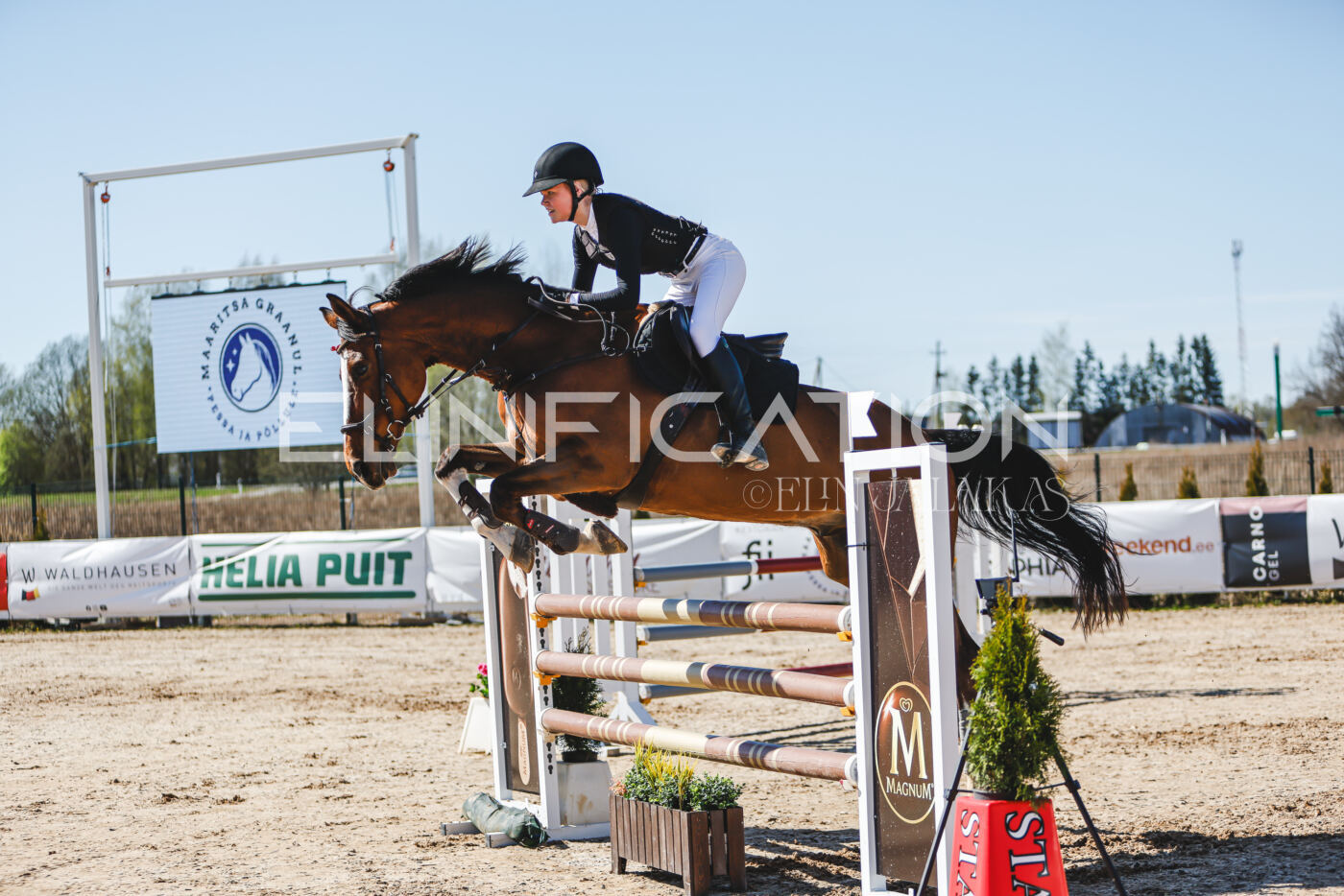 Gramina_Volber_2026_110_0525