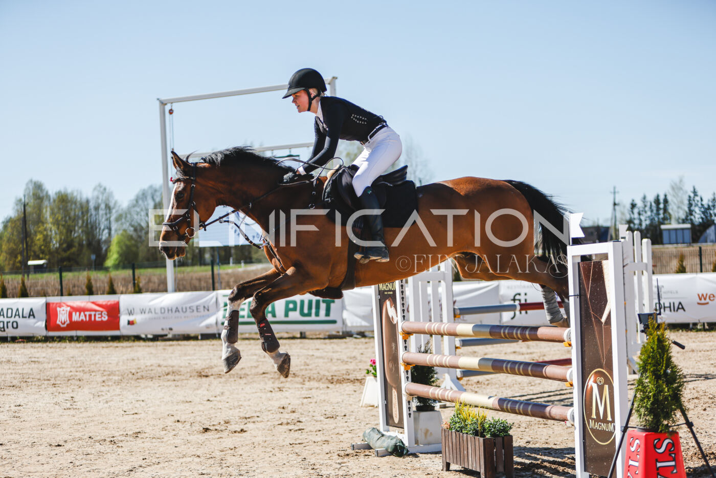 Gramina_Volber_2026_110_0528