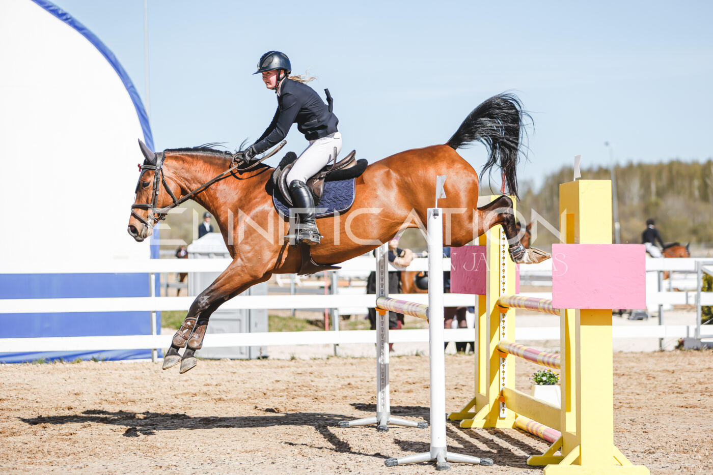Gramina_Volber_2026_110_0543