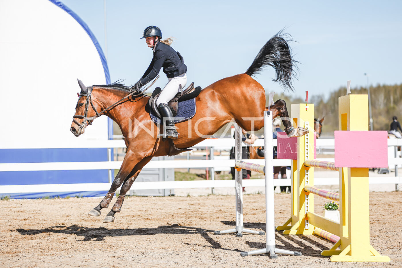 Gramina_Volber_2026_110_0544