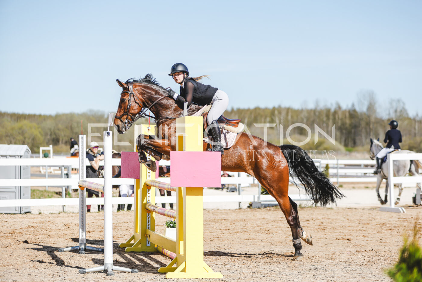Gramina_Volber_2026_110_0699