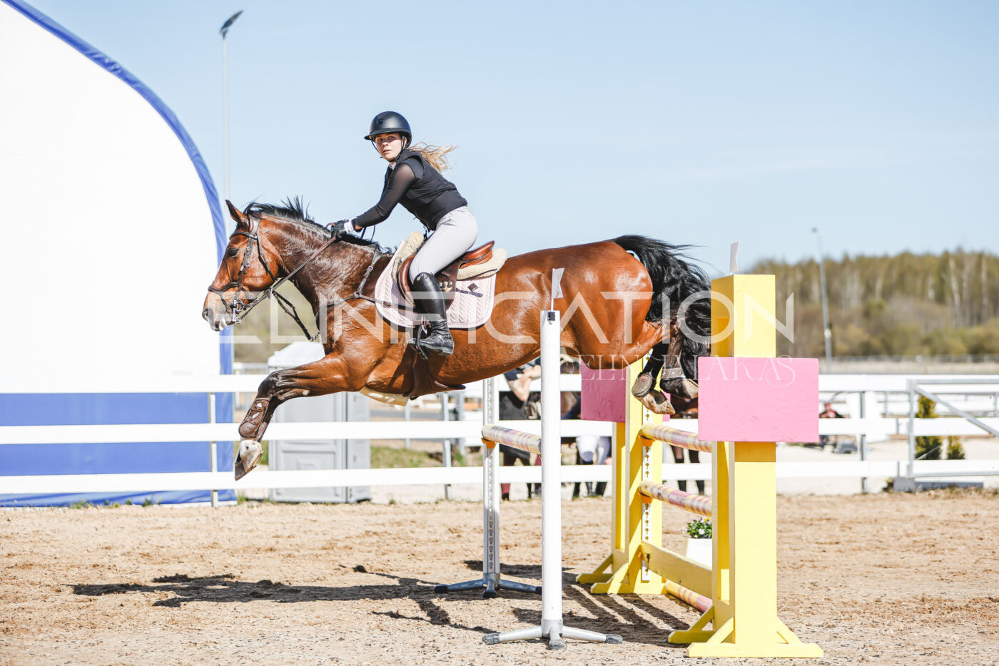 Gramina_Volber_2026_110_0704