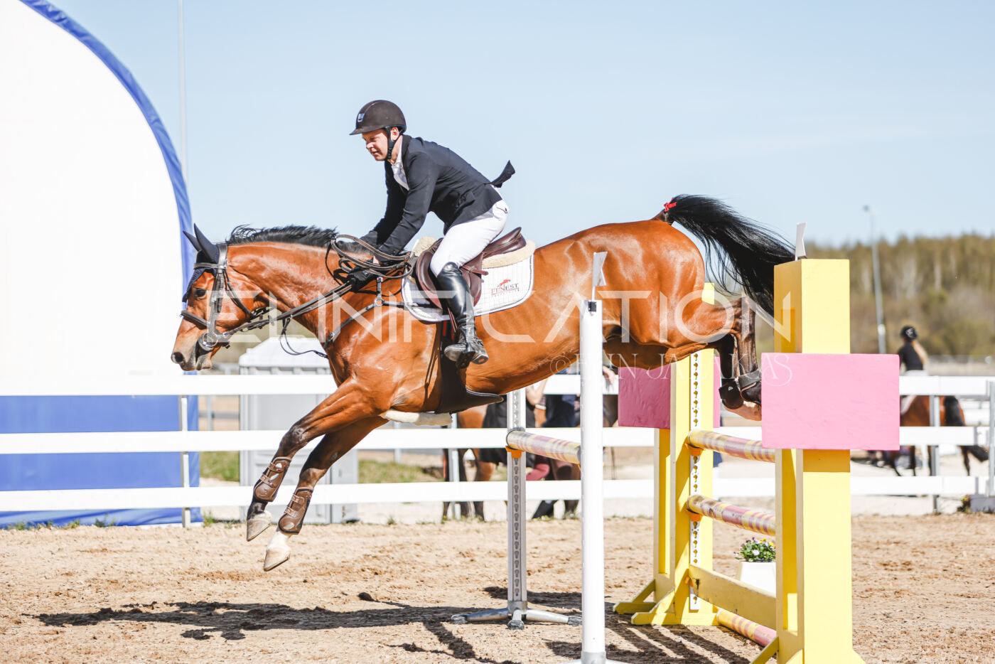 Gramina_Volber_2026_110_0743