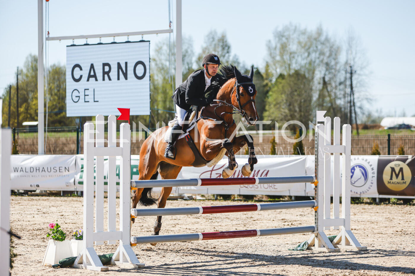 Gramina_Volber_2026_110_0748