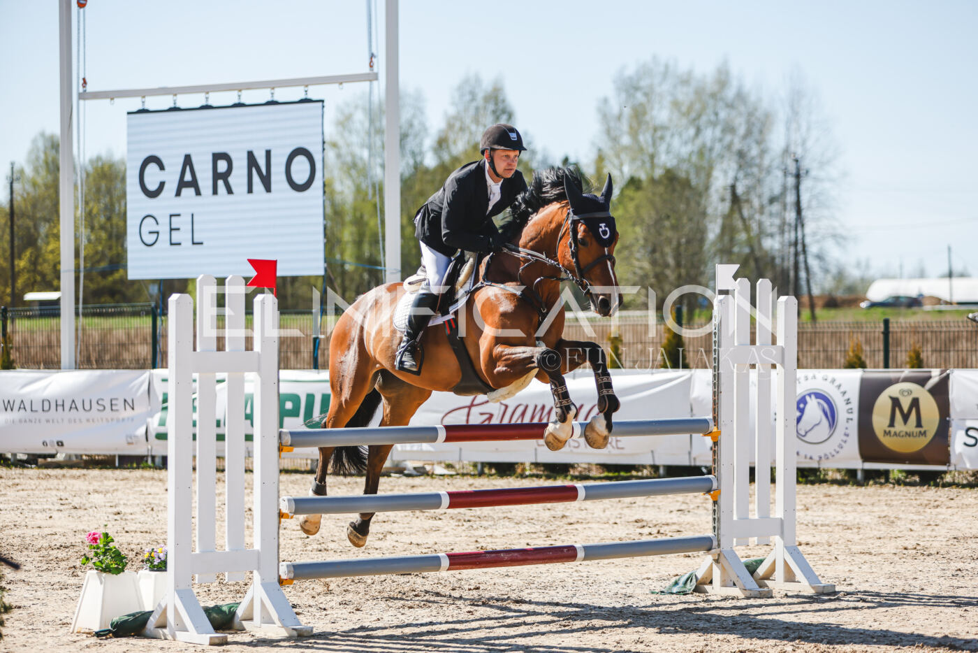 Gramina_Volber_2026_110_0749