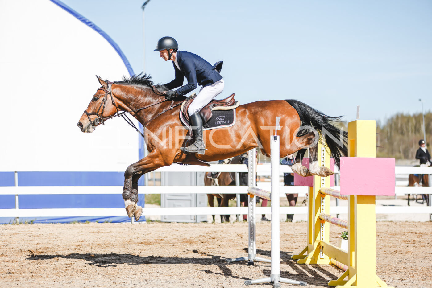 Gramina_Volber_2026_110_0782
