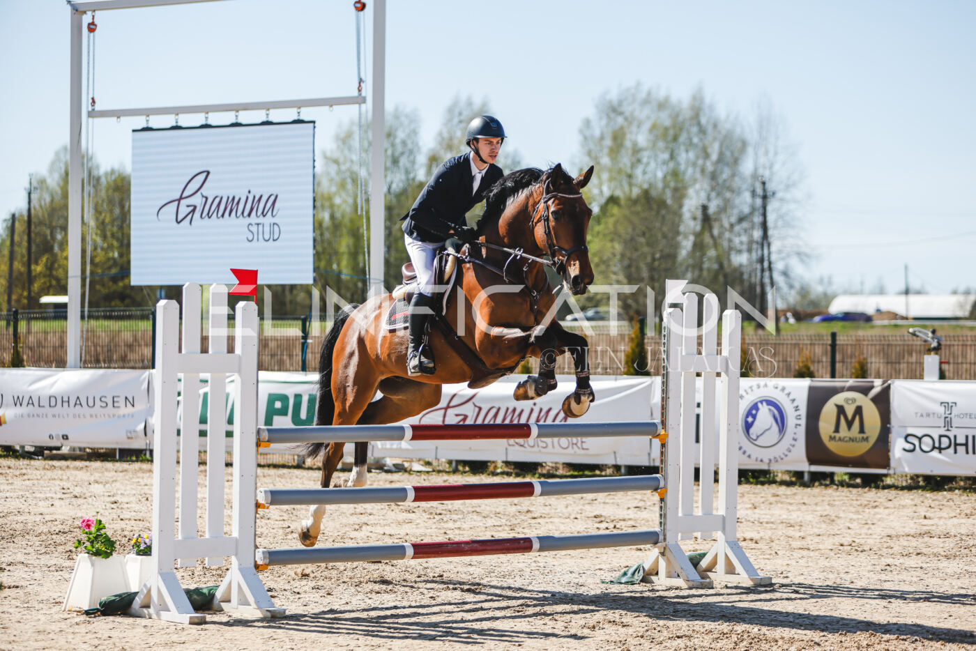 Gramina_Volber_2026_110_0787