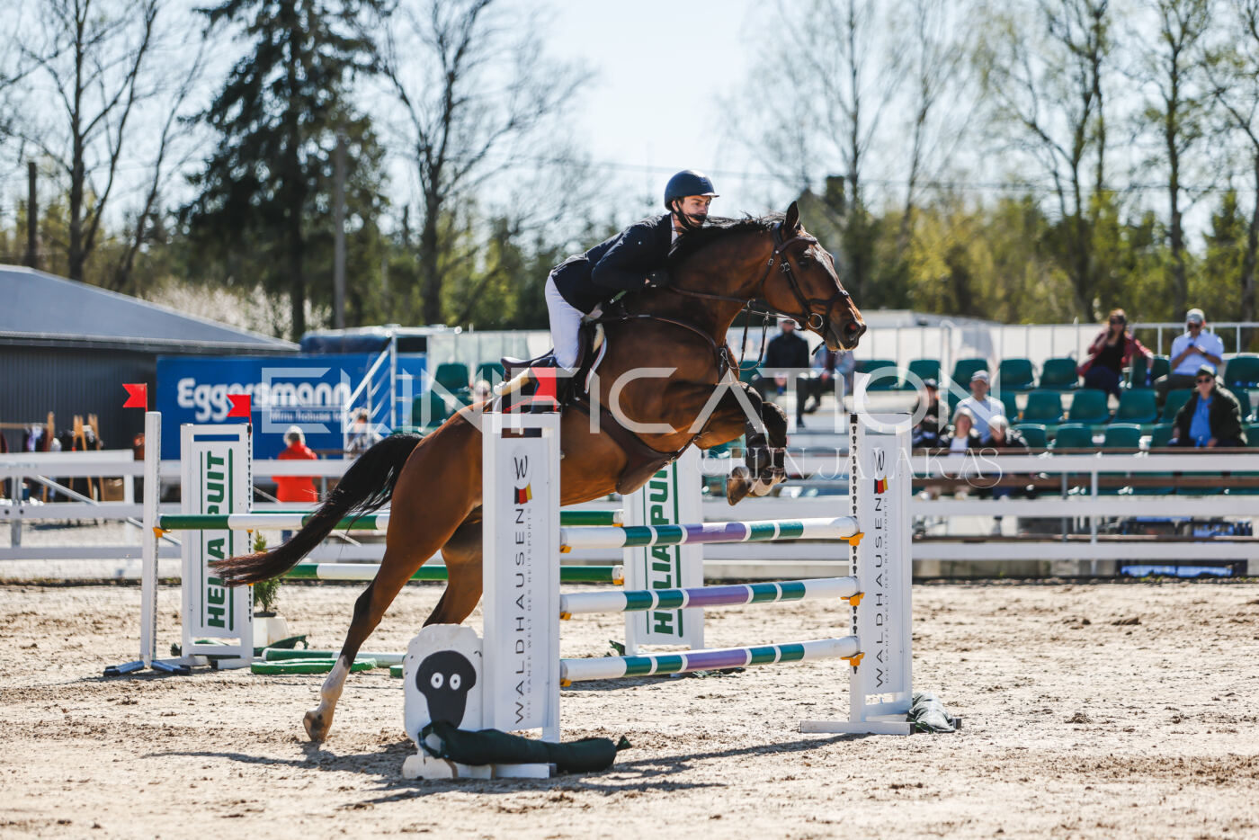 Gramina_Volber_2026_110_0799