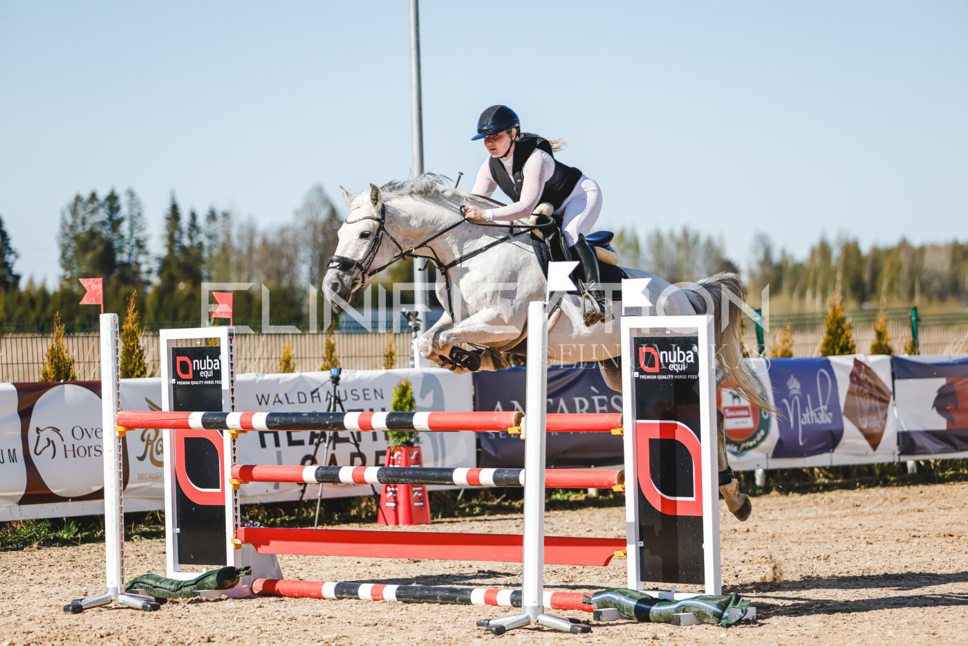 Gramina_Volber_2026_120_0001