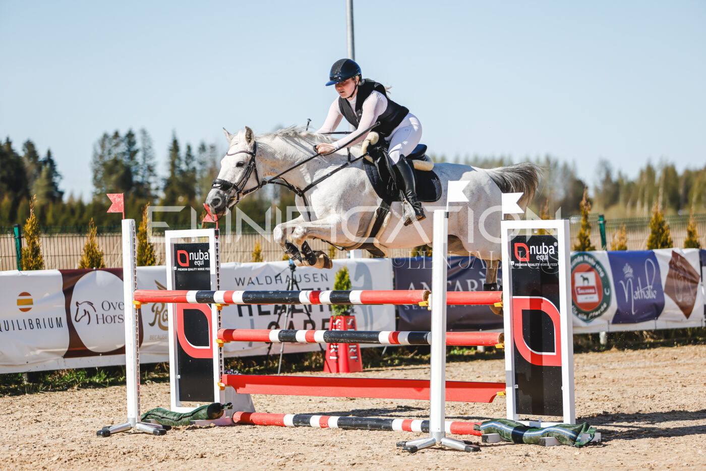 Gramina_Volber_2026_120_0003