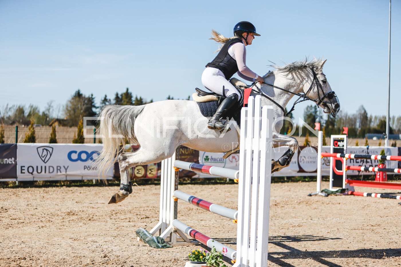 Gramina_Volber_2026_120_0015