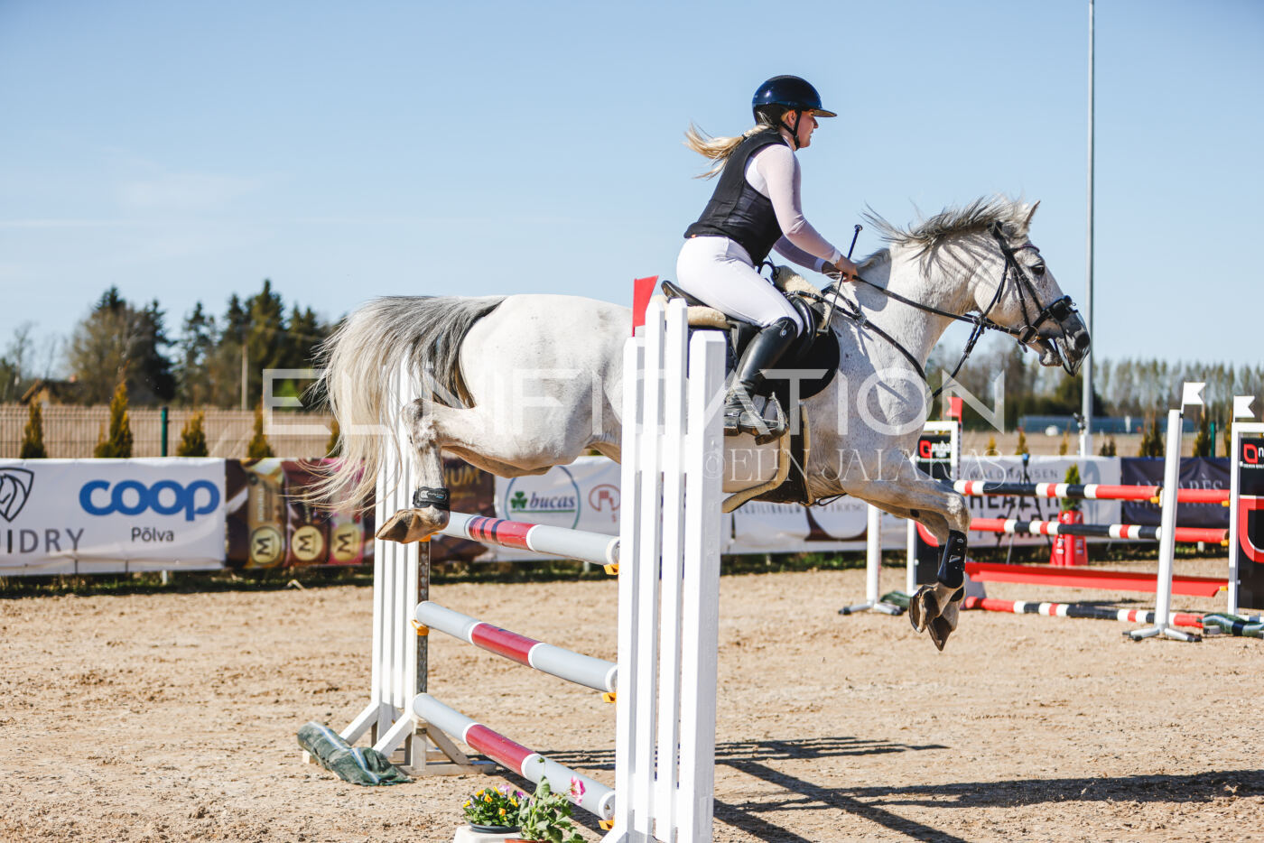 Gramina_Volber_2026_120_0017