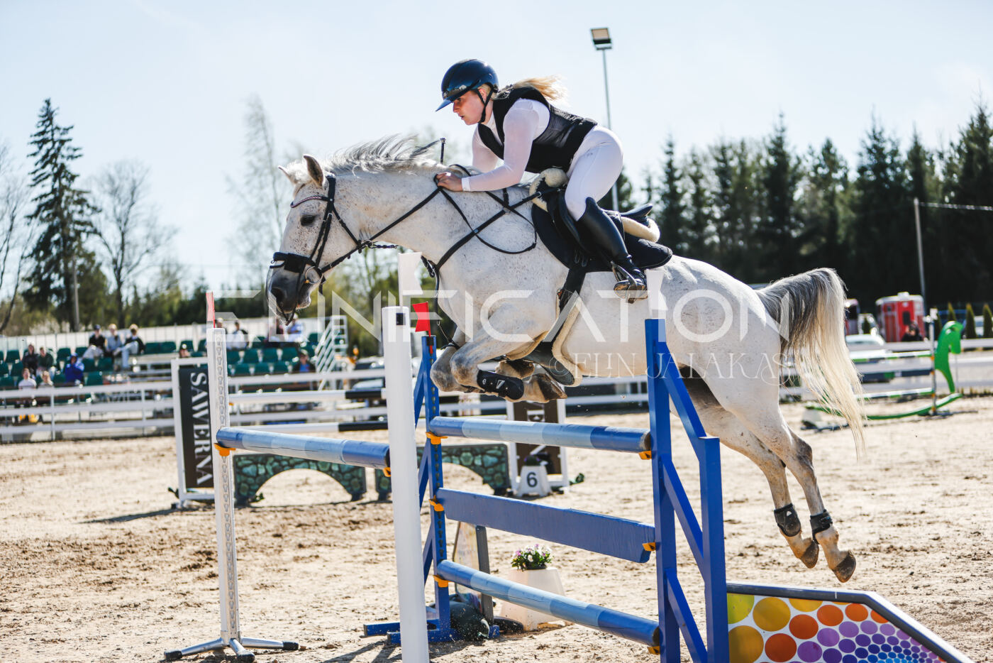 Gramina_Volber_2026_120_0045