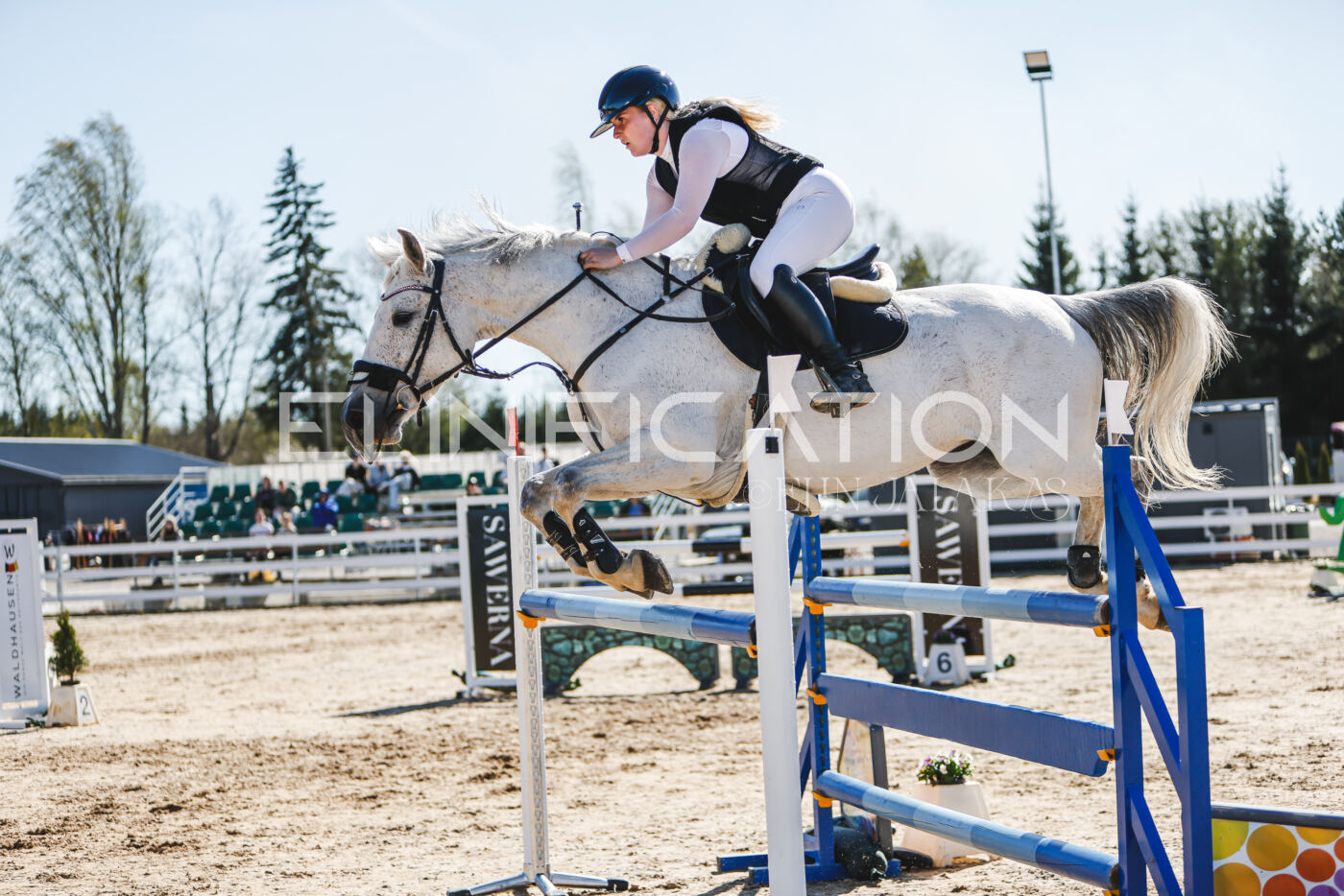Gramina_Volber_2026_120_0048