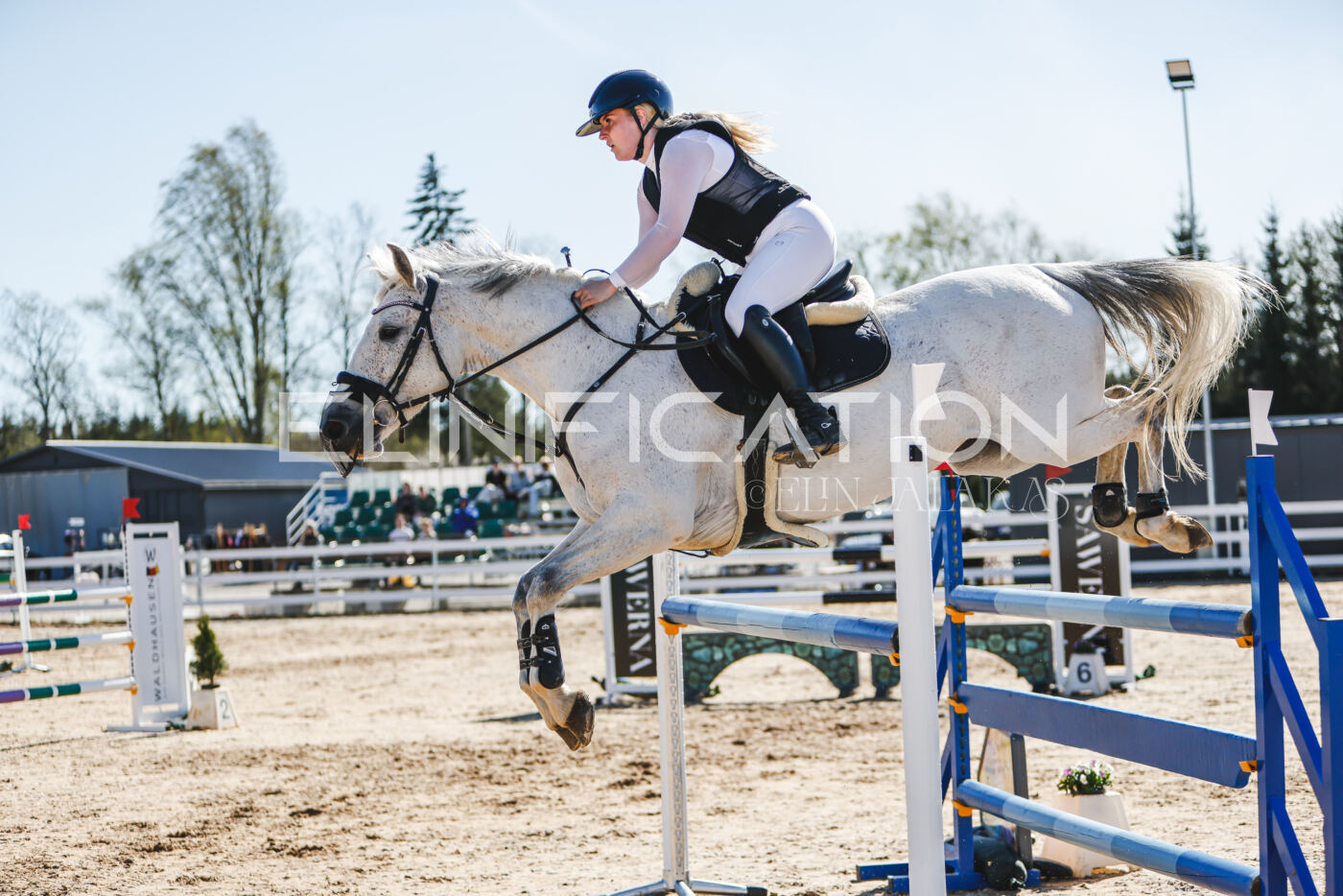 Gramina_Volber_2026_120_0050