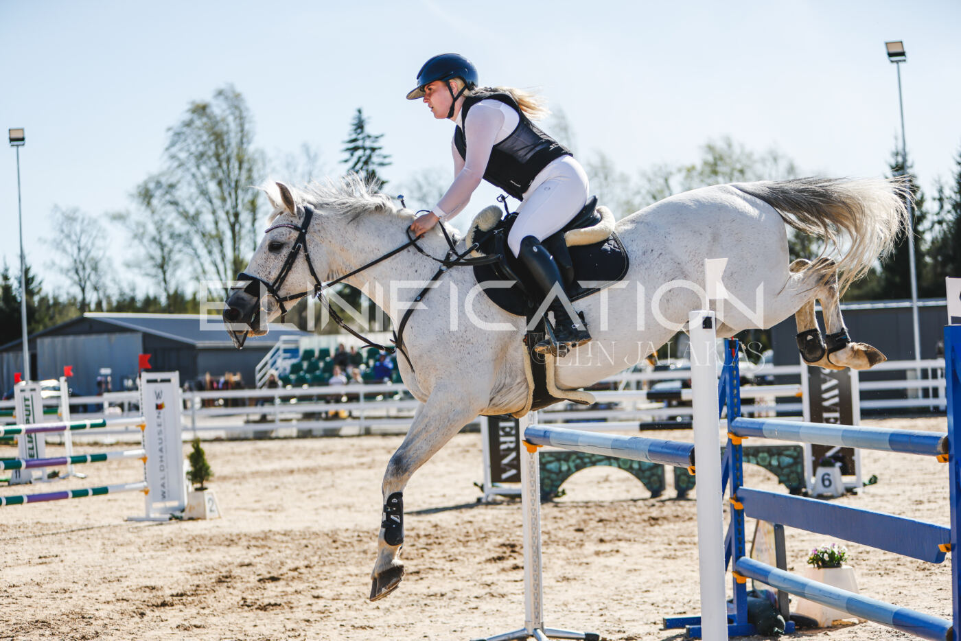 Gramina_Volber_2026_120_0051