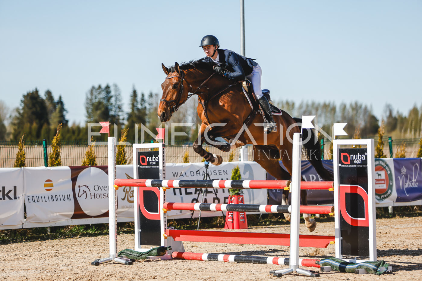 Gramina_Volber_2026_120_0054