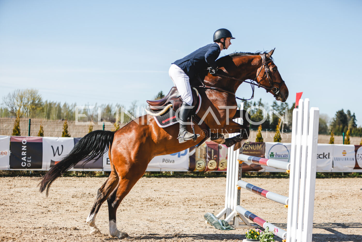 Gramina_Volber_2026_120_0061