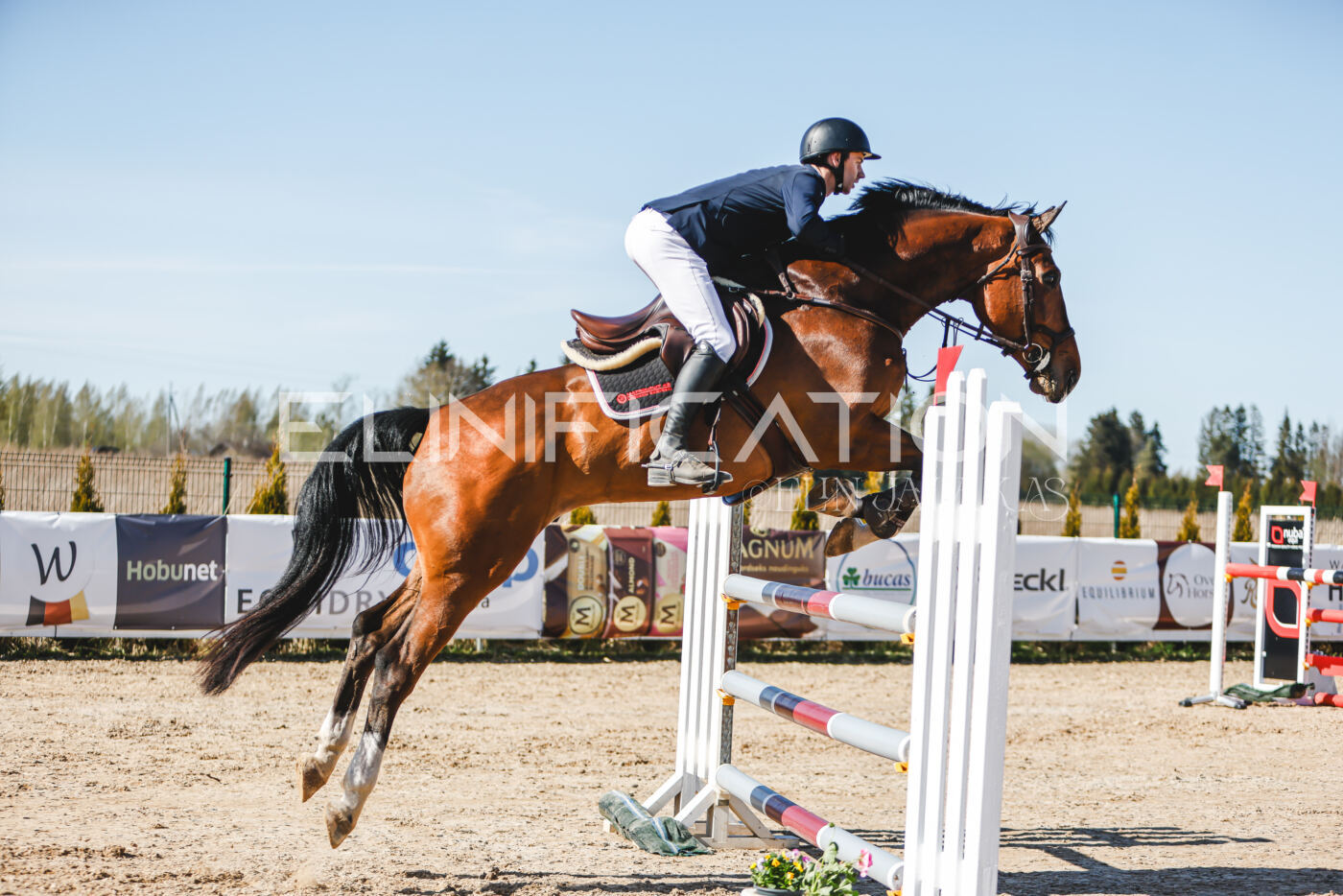 Gramina_Volber_2026_120_0063