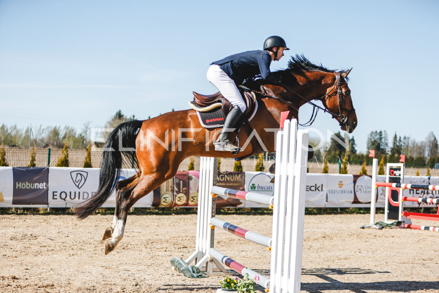 Gramina_Volber_2026_120_0064
