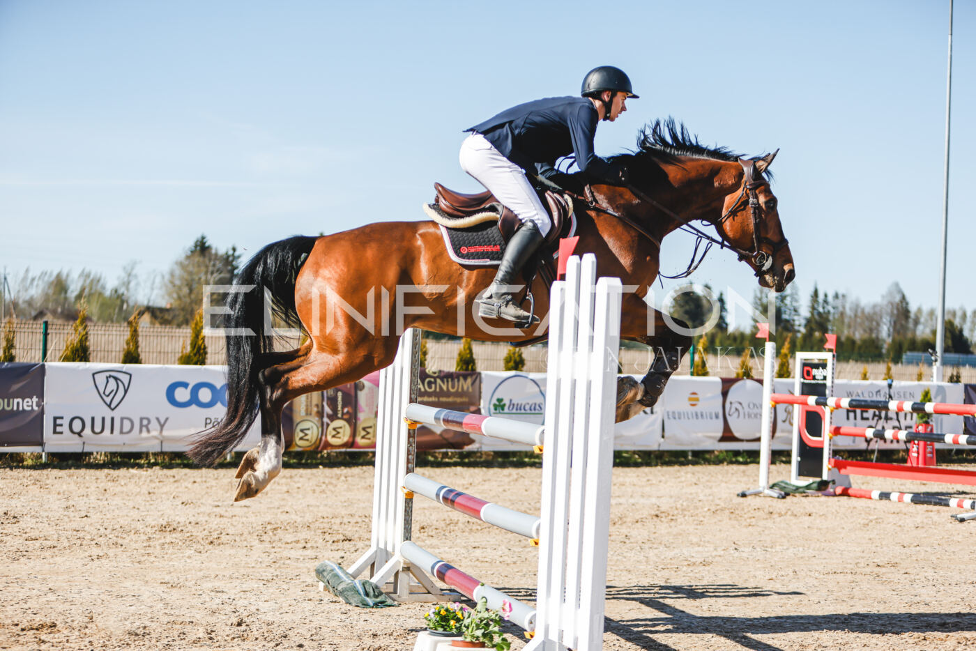 Gramina_Volber_2026_120_0065