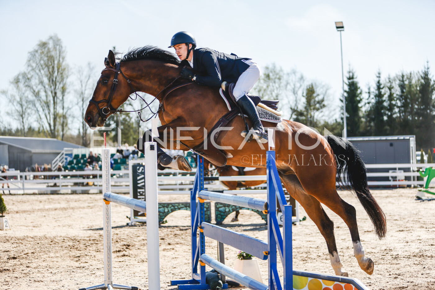 Gramina_Volber_2026_120_0090