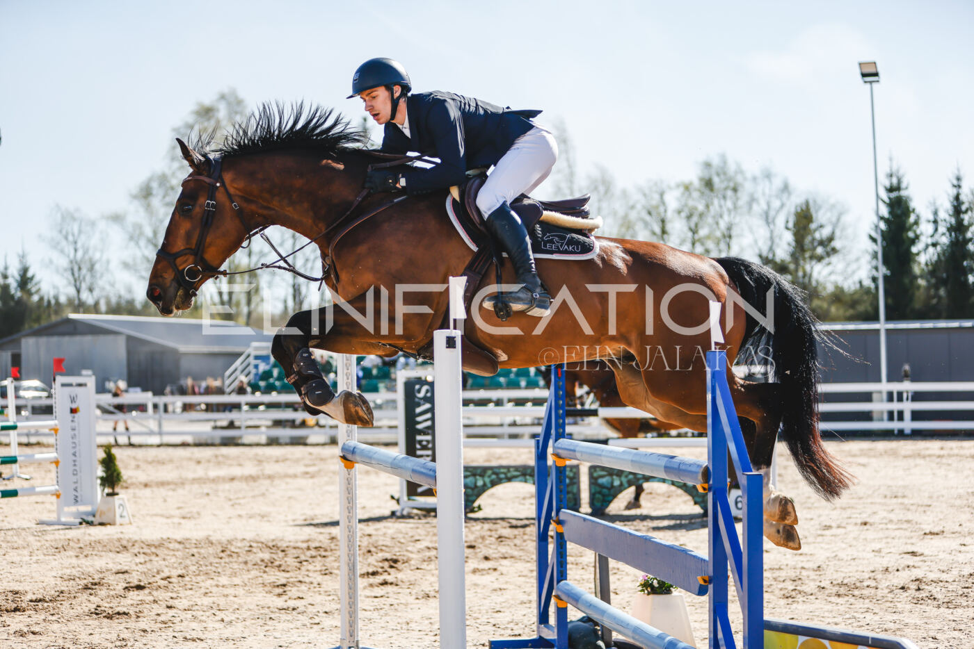 Gramina_Volber_2026_120_0092