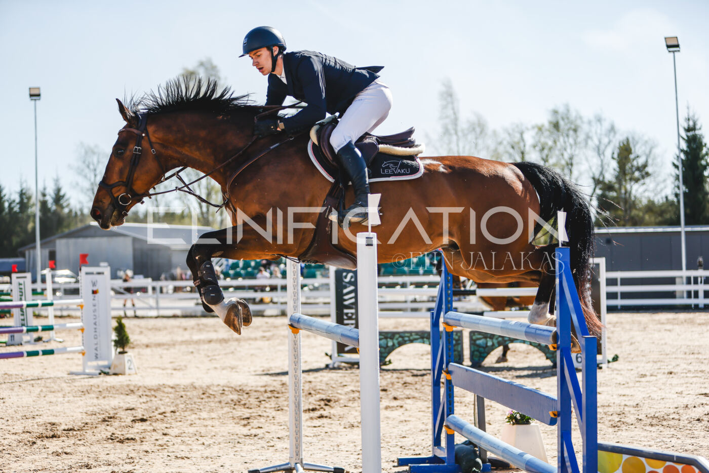 Gramina_Volber_2026_120_0093