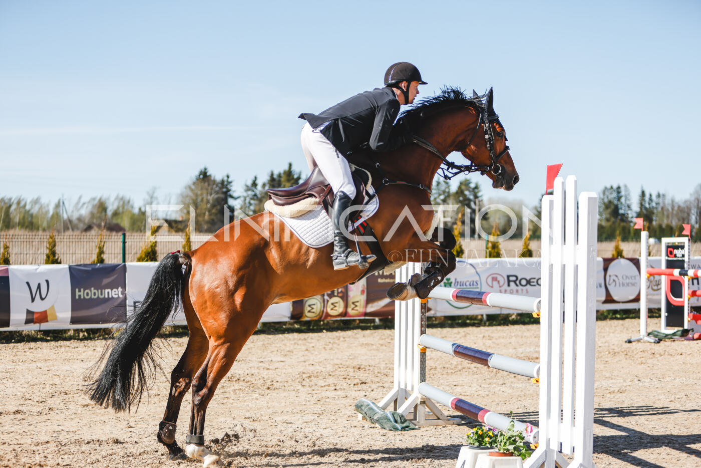 Gramina_Volber_2026_120_0103
