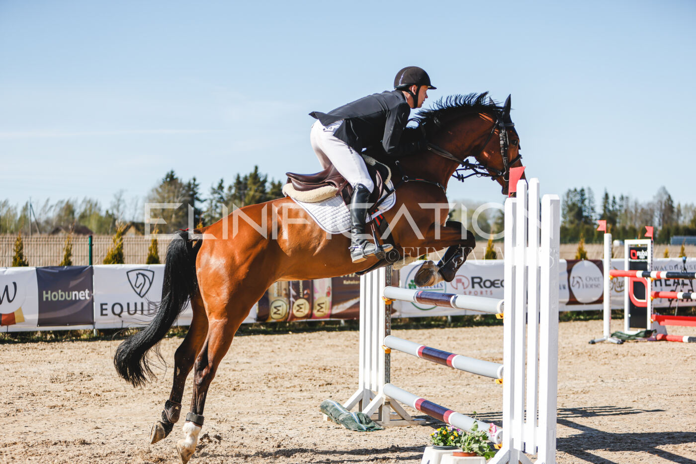 Gramina_Volber_2026_120_0104