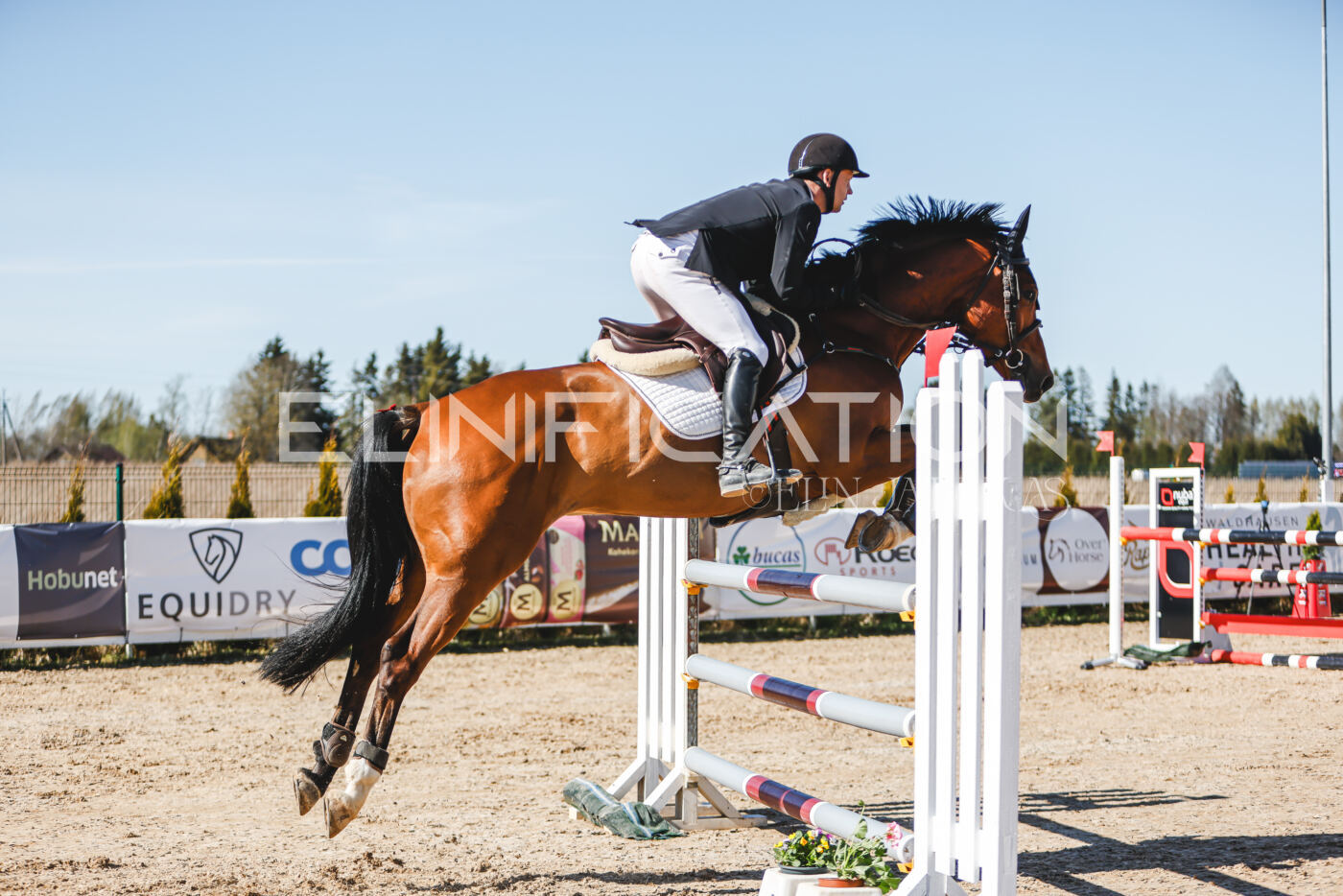 Gramina_Volber_2026_120_0105