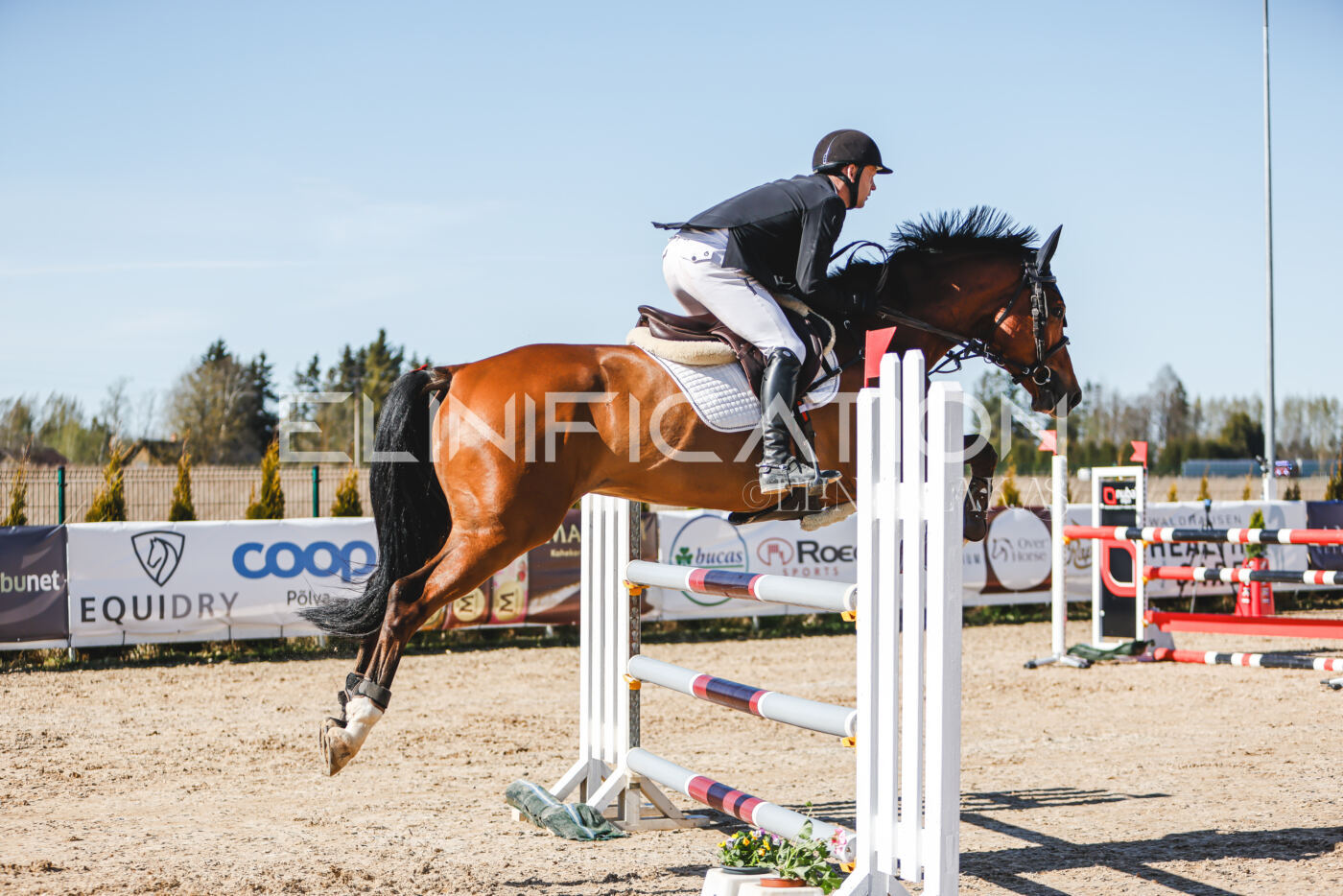 Gramina_Volber_2026_120_0106