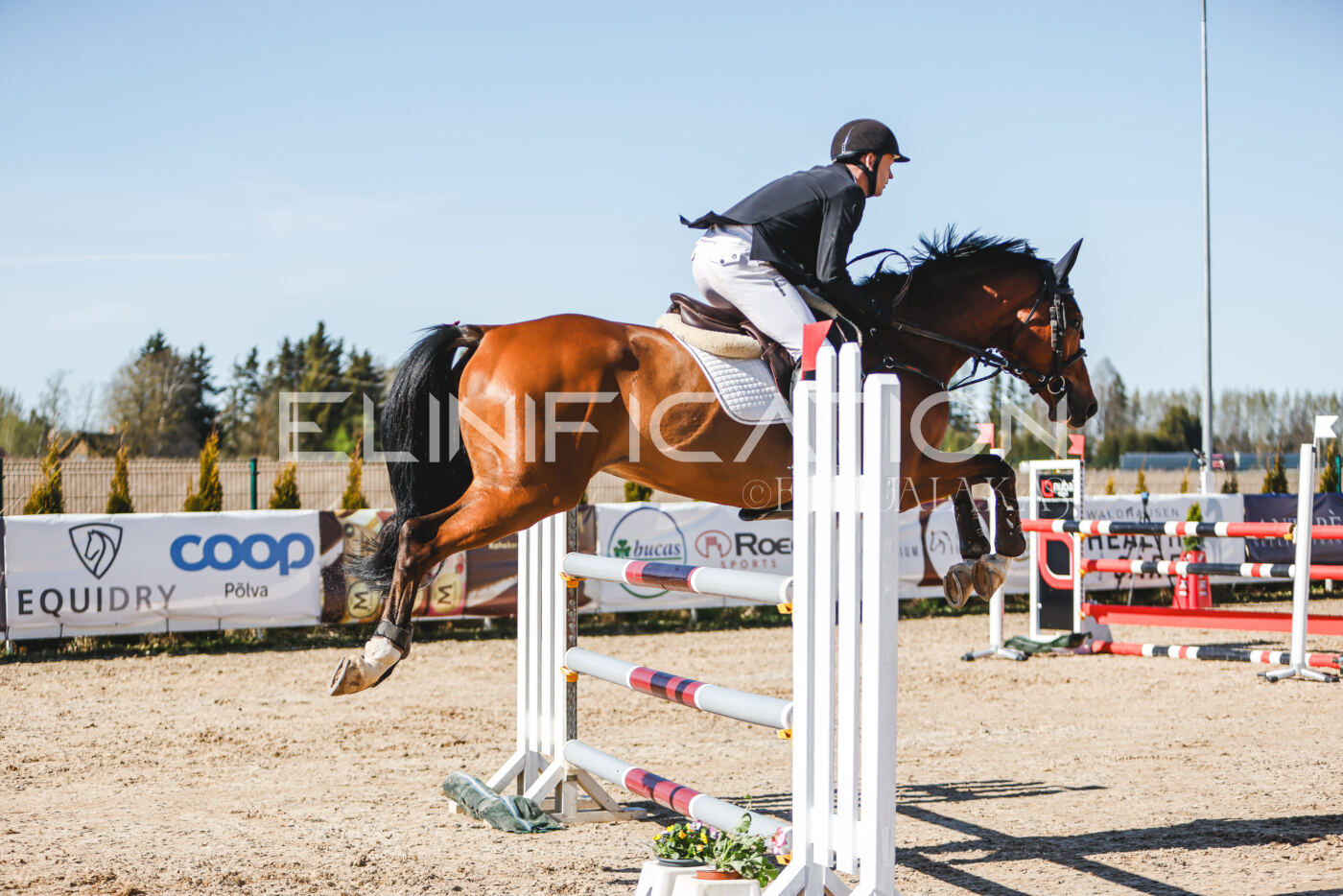 Gramina_Volber_2026_120_0107