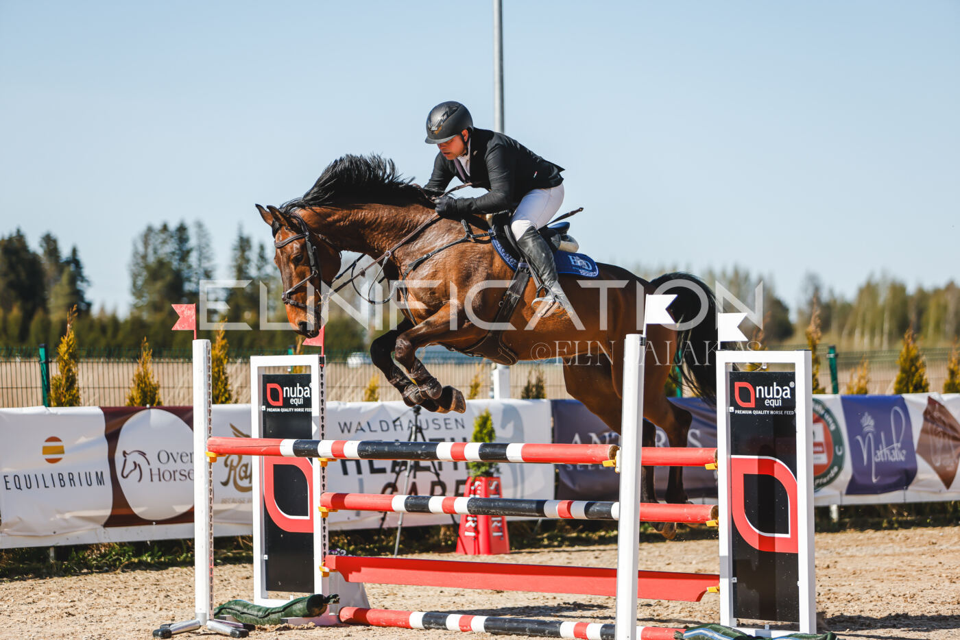 Gramina_Volber_2026_120_0138